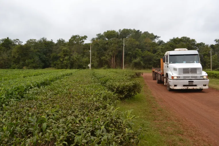 CORRENTINO DETENIDO: TENÍA COCAÍNA Y QUISO OCULTARSE DE LA POLICÍA