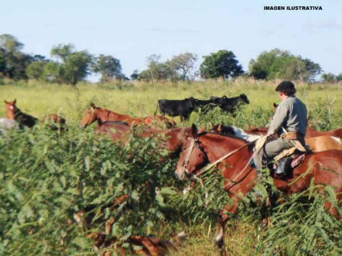 TRAGEDIA EN LA CRUZ: JOVEN DE 26 AÑOS CAYÓ DEL CABALLO Y MURIÓ